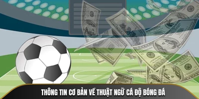 Thông tin sơ lược về thuật ngữ cá độ bóng đá