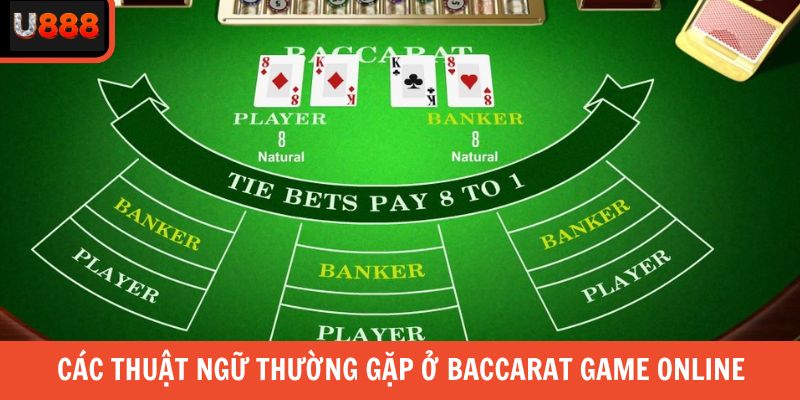 Các thuật ngữ thường gặp ở baccarat game online