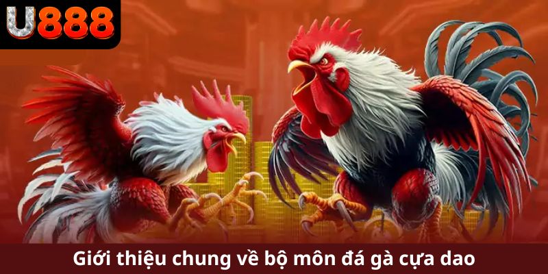 Sơ bộ hình thức đá gà cựa dao