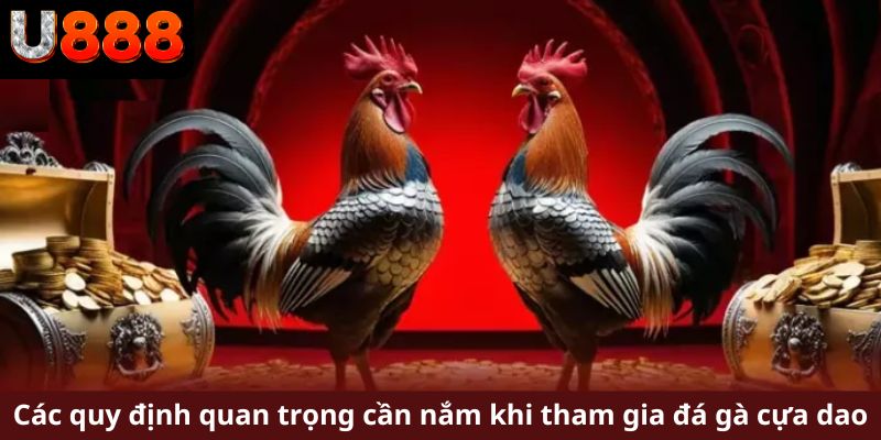 Các quy định quan trọng cần nắm khi tham gia đá gà cựa dao