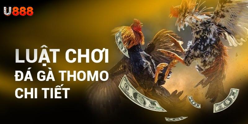 Luật đá gà Thomo cơ bản cho hội viên