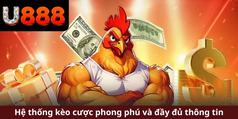 Hệ thống kèo cược phong phú và đầy đủ thông tin