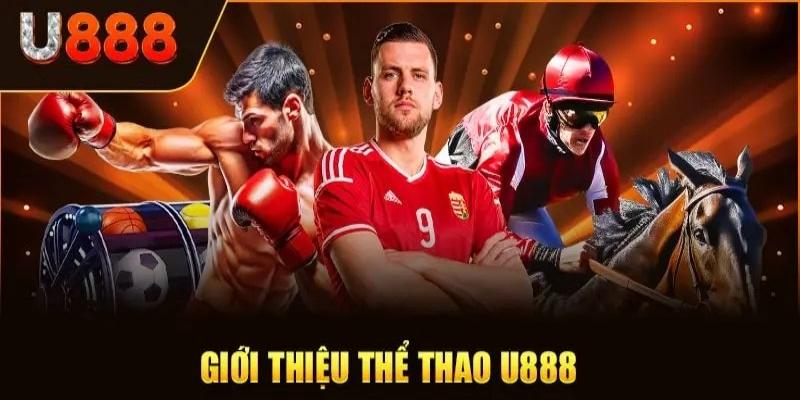 Sảnh thể thao U888 thế mạnh trong mục giới thiệu về chúng tôi